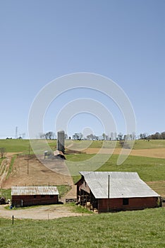 Cattle farm