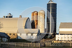 Cattle farm with silos and fences in Chalfont, Pa. USA