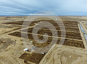 Cattle feed lot in Colorado