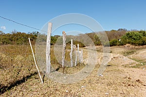 Cattle fence in the Mexican countryside