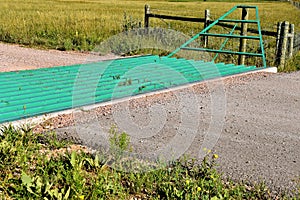 Cattle gate grid crossing in the Black Hills of South Dakota