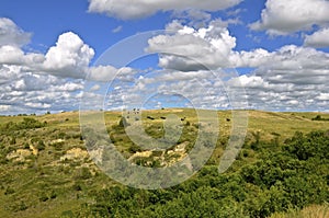 Cattle graze hilly and rugged country