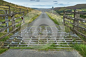 Cattle Grid