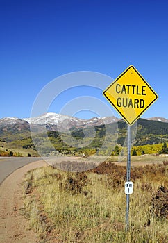 Cattle Guard