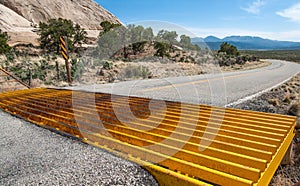 Cattle Guard