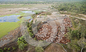 Cattle mustering on the flood plains. photo