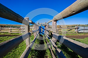 Cattle Pen Corral Lane Farm