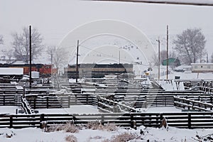 Cattle pens and Locomotives
