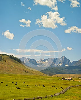 Cattle Ranch and Mountains, Idaho