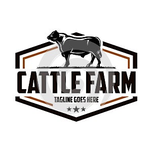 Cattle ranch ready made logo design. Cattle Ranch logo template