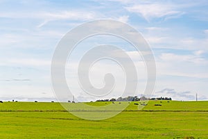 Cattle ranch and rural landscape in Brazil