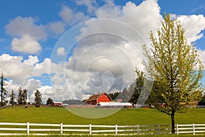 Cattle Ranch and Sheep Farm in Rural Oregon