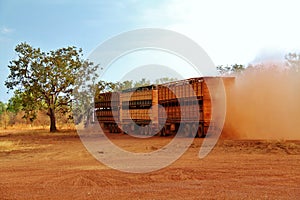 Cattle Road Train