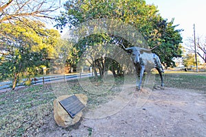 The Cattle Sculpture of Texas Longhorns at Bushy Creek in Round Rock, with blue sky on a sunny day. photo