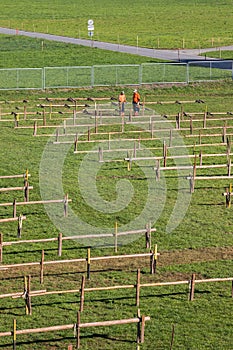 Cattle Show 2018 preparations
