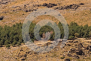 cattle stable in Sierra Nevada