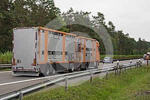 A cattle truck on the German highway