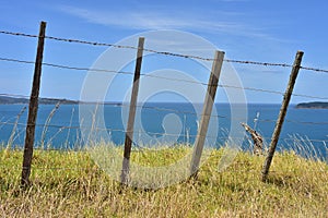 Cattle wire fence