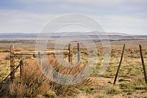 Cattleguard and Fence Western Scene