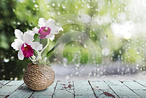 Cattleya orchid on wooden table in rainy day