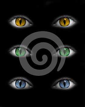 Catwoman eyes photo