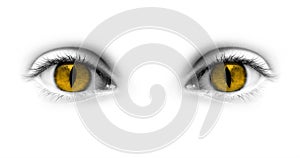 Catwoman yellow eyes photo