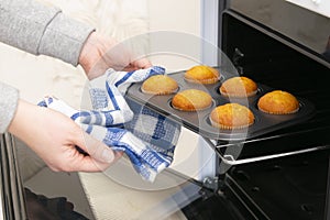 Caucasain woman holding tray with freshly made cupcakes or maffins at the kitchen