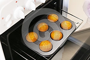 Caucasain woman holding tray with freshly made cupcakes or maffins at the kitchen