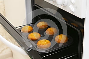 Caucasain woman holding tray with freshly made cupcakes or maffins at the kitchen photo