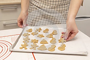 Caucasain woman holding tray with freshly made gingerbread cookies at the kitchen photo
