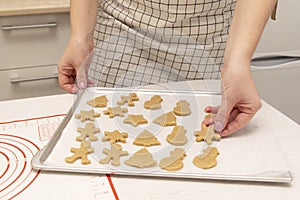 Caucasain woman holding tray with freshly made gingerbread cookies at the kitchen