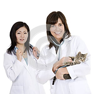 Caucasian and Asian woman Veterinarians holding and examining a kitten