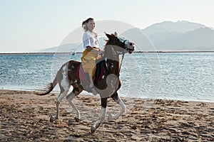 Caucasian blonde girl riding horse at sunset beach