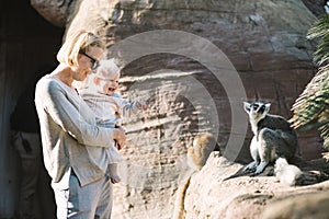 Caucasian blonde mother holding her infant baby boy child in her lap watching ring-tailed lemur in zoo. Happy family