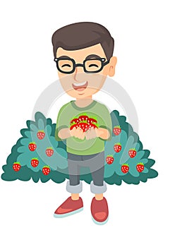 Caucasian boy holding fresh strawberries in hands.