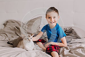 Caucasian boy petting oriental cat. Kid sitting on bed in bedroom at home and stroking a domestic animal friend. Child with  furry