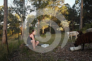Caucasian boy sitting in paddock with flock of Dorper breed sheep