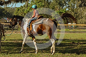 Caucasian boy wearing helmet and riding horse in greenery field