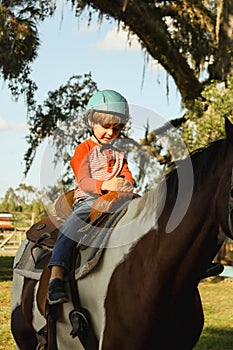 Caucasian boy wearing helmet and riding horse in greenery field