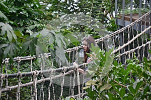 Caucasian brunette young lady nervous on a rope bridge in jungle