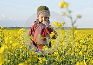 Caucasian child outdoors in the blooming rape field picking a flower