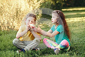 Caucasian children boy and girl siblings sitting together sharing apple. Two kids brother and sister eating sweet fruit in park on