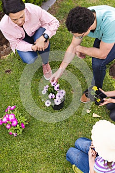 Caucasian couple spending time together in the garden, planting