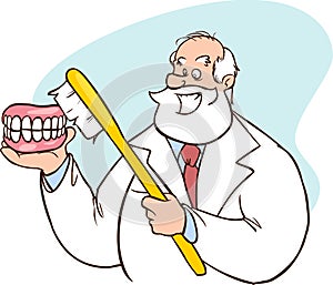 Caucasian dentist showing a dental jaw model and a toothbrush. old man dentist holding a dental jaw model and a toothbrush in