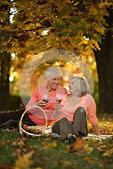 Caucasian elderly couple