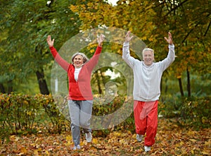 Caucasian elderly couple