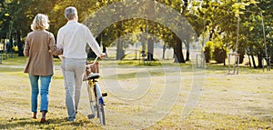 Caucasian elderly couples come to happy in park during the summer. Of long holidays and Picnic. Tourism activities Of retire. Frie