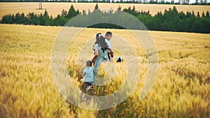 Caucasian family with children goes in a wheat field searching place for picnic in slowmo