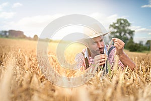 Caucasian farmer crouching in field checking crop