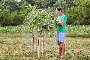 Caucasian farmer by a young walnut tree